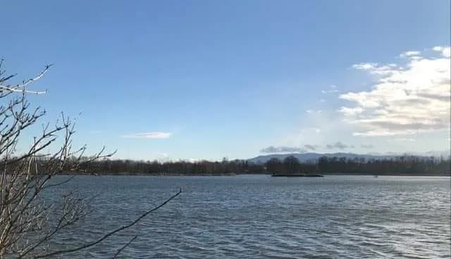 łowisko karpiowe na Gołyszu: idealne miejsce na wędkarskie przygody