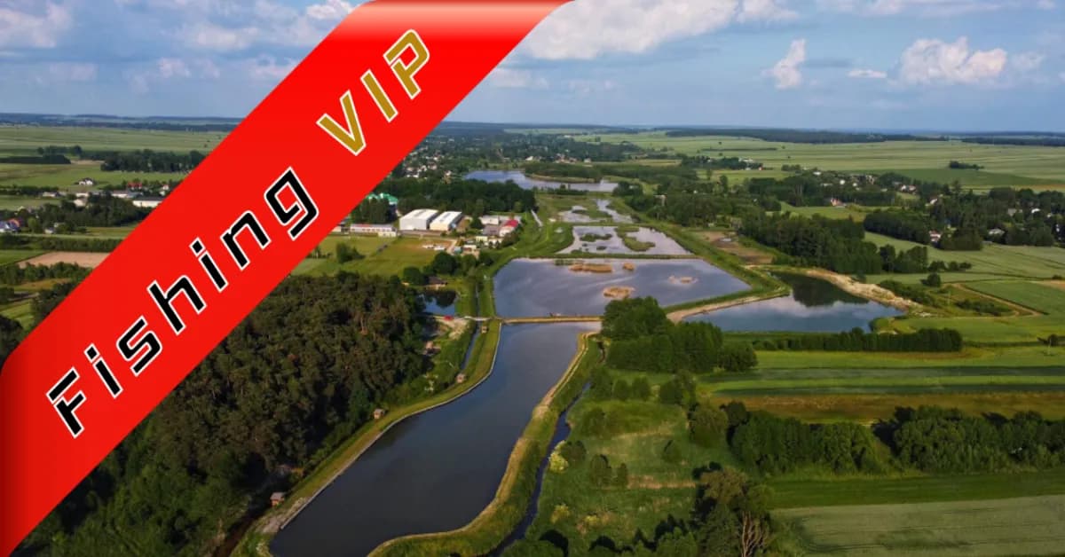 Gdzie można łowić ryby bez karty wędkarskiej w lubelskim? Odkryj najlepsze miejsca