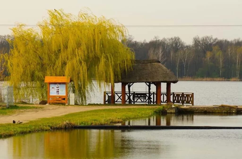 Łowisko Pawłowice: Wszystko, co musisz wiedzieć o wędkowaniu