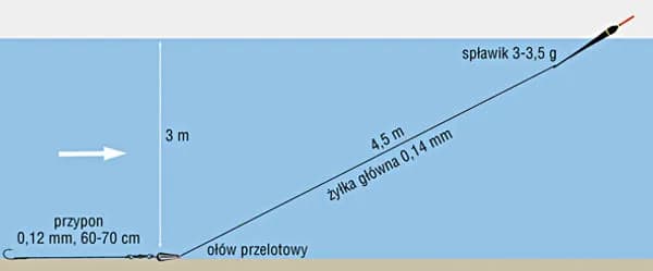 Wędka bolonka do czego służy – skuteczne metody łowienia ryb
