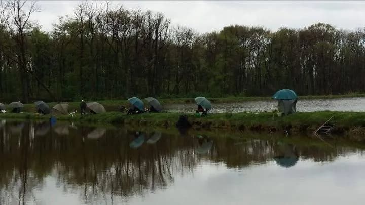łowisko u Macieja – idealne miejsce na wędkowanie w Mosinie