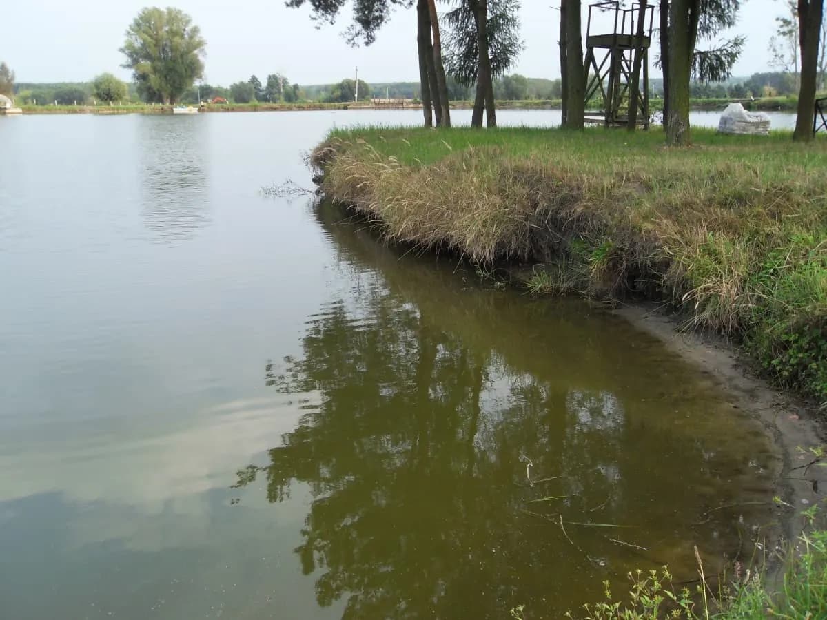 Łowisko 3 Stawy Goryń Radom - Idealne miejsce na wędkarską przygodę