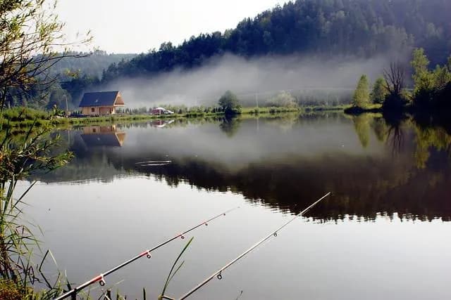 Łowisko u Schabińskiej: idealne miejsce na wędkarską przygodę