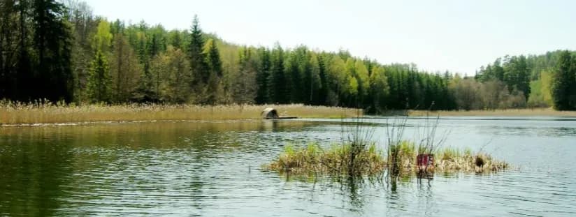 Cennik łowiska Grzymalin – poznaj koszty i uniknij nieprzyjemności