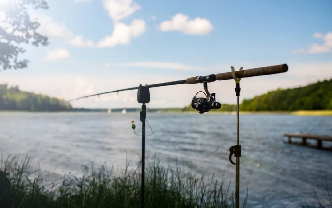 Cennik łowiska Sazan: Przejrzyste opłaty i zniżki dla wędkarzy