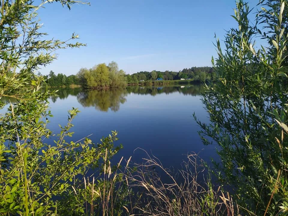 Łowisko Wysoka Trawa – najlepsze miejsce na wędkowanie bez stresu