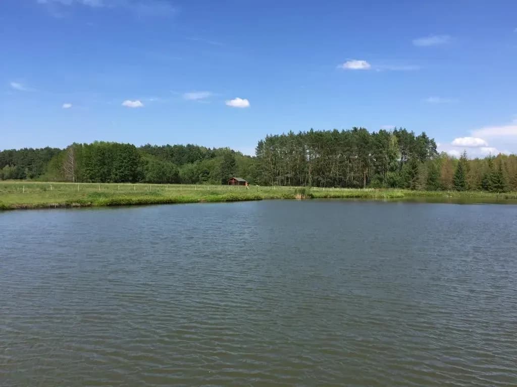 Łowisko Łazy – idealne miejsce na wędkowanie i relaks w naturze