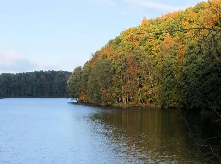 Zalew Koszycki: Odkryj raj dla wędkarzy i miłośników natury