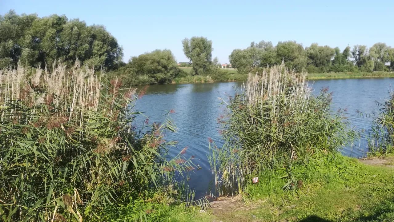 Gdzie na ryby bez karty kujawsko-pomorskie - najlepsze miejsca na wędkowanie