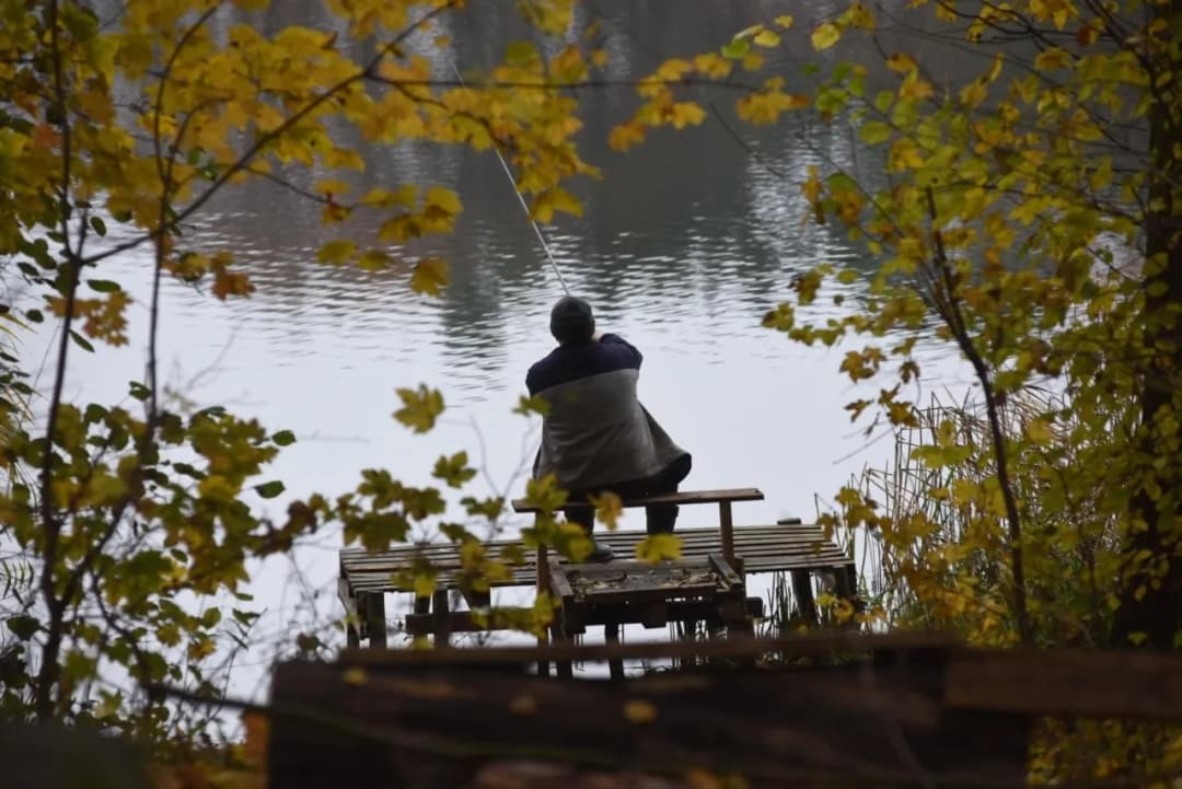Jakie są pytania na kartę wędkarską? Przygotuj się do egzaminu!
