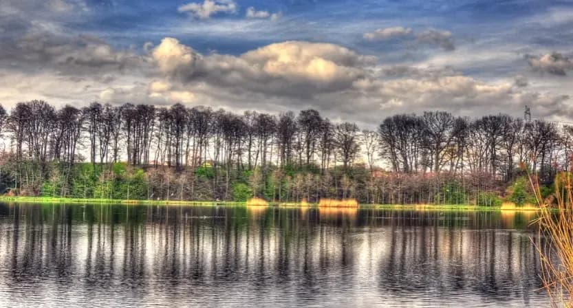 Łowisko Bażyna - idealne miejsce na udane wędkowanie w Lubomi