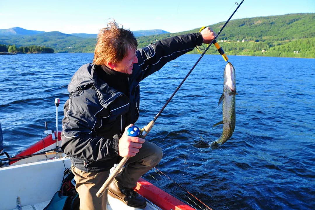 Jezioro Siecino ryby – odkryj najlepsze gatunki i przepisy wędkarskie