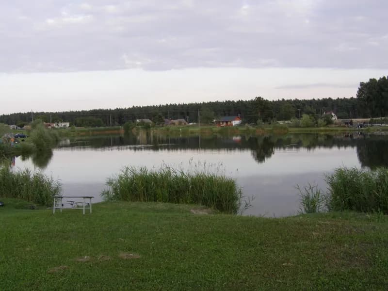 Łowisko Rostarzewo: idealne miejsce na wędkowanie bez stresu