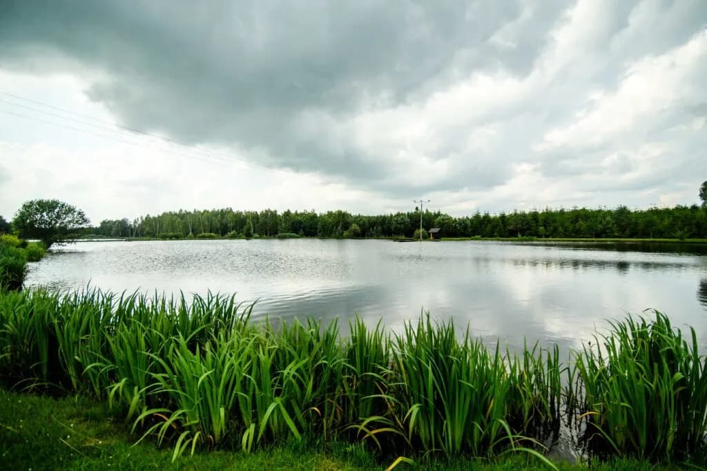 Łowisko Zielona Dolina – najlepsze miejsca na wędkowanie w Polsce