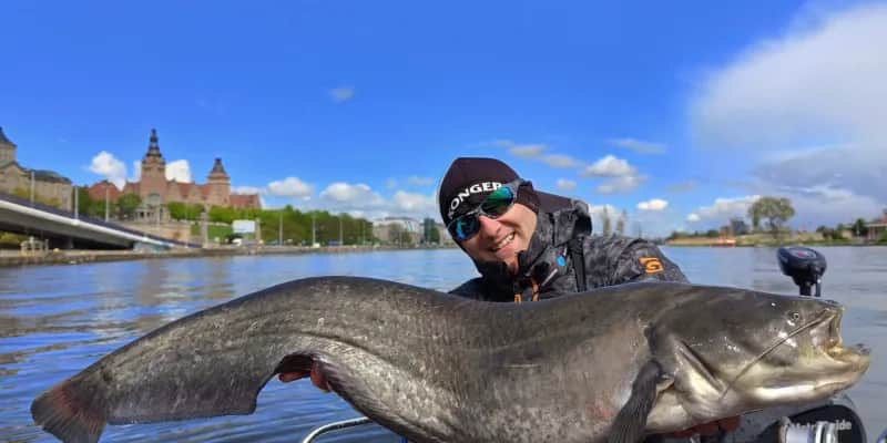 Wody sumowskie Szczecin: jak skutecznie łowić sumy i unikać błędów