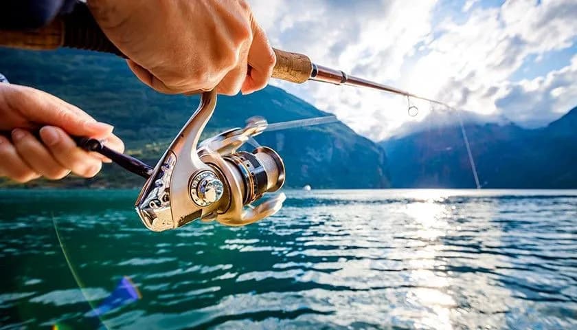 Co to jest spinning wędkarstwo? Poznaj techniki i sprzęt wędkarski